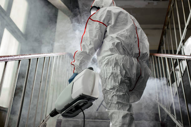 Best Mold Remediation for Healthcare Facilities  in State Center, IA